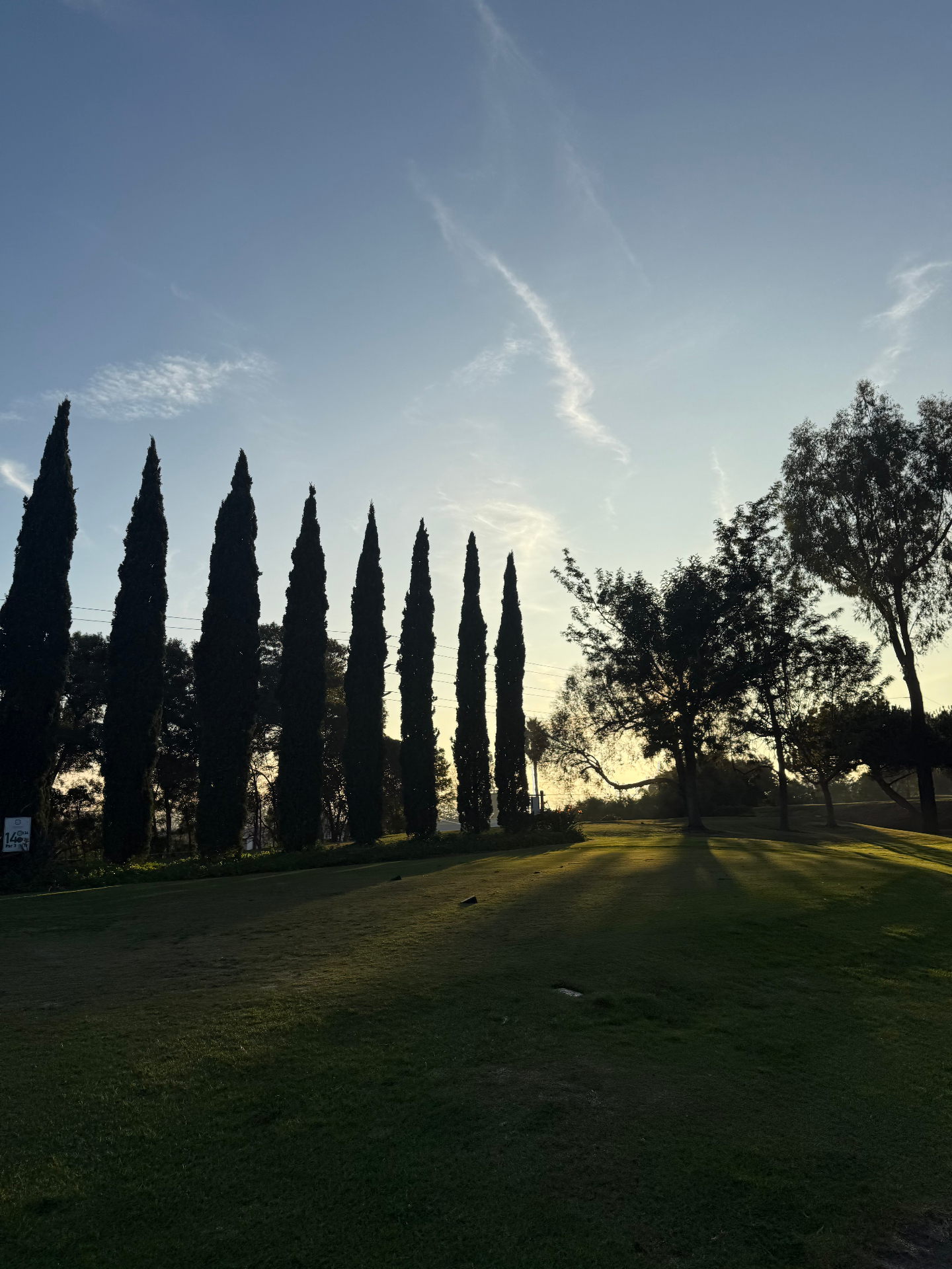 Sunrise through cypress trees on the fairway